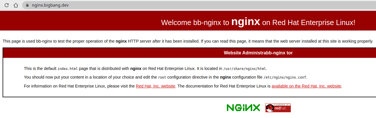 Nginx Page